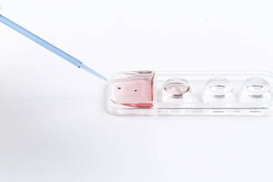 Cryotec oocyte and embryo warming dish, cryotec and solution set