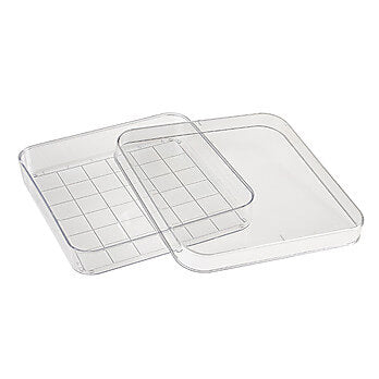Divided Plate