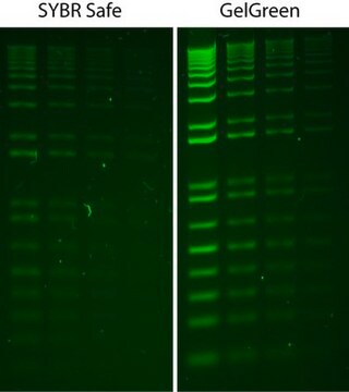 Side by side image of the difference between SYBR Safe and Gel Green Staining gel
