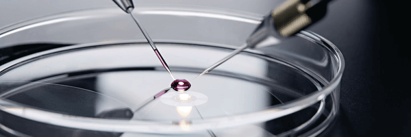 Calibre Scientific Glass Microcapillaries