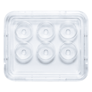 Oosafe® 6 Well Dish - IVF Store