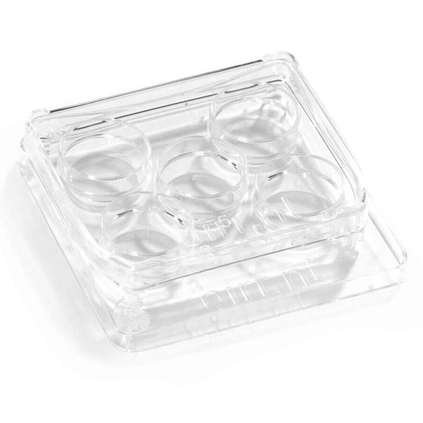BIRR 5-Well Dish Round Edges Clear large label area fits all tags and no writing any longer from underneath