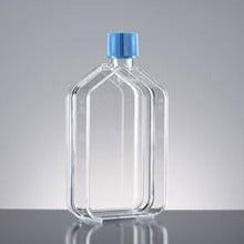 Falcon® Tissue Culture Flasks, Vented