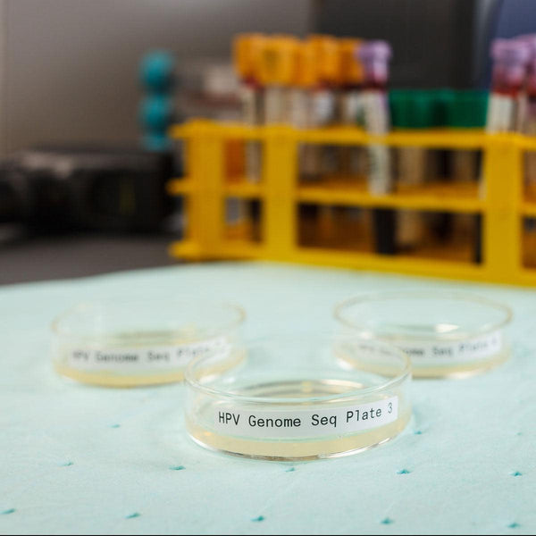 Continuous Self-laminating Polyester Cryogenic Laboratory Labels (2 Pack) - IVF Store