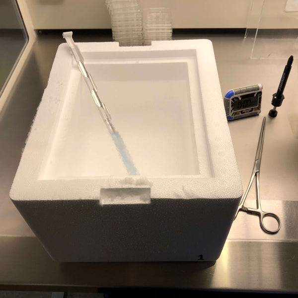 Insulated Foam Shipping Container / Vitrification Box - 8 x 6 x 7, 1-1/2" wall