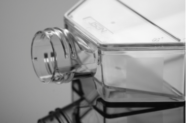 TC-Treated Cell Culture Flasks