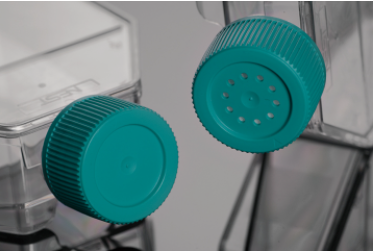 TC-Treated Cell Culture Flasks