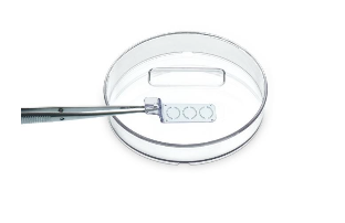 Sperm VD Dish (25 Dishes / Pack)