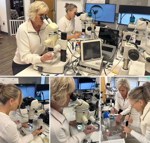 Embryology-trained support: raising the standard for IVF service