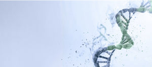 IVF Store Partners with NOVA Genomics to Streamline Access to Genetic Testing
