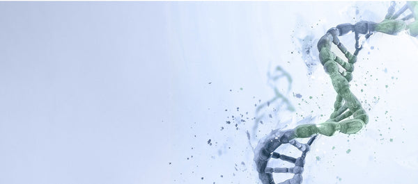 IVF Store Partners with NOVA Genomics to Streamline Access to Genetic Testing