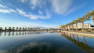 The Southwest Embryology Summit January 7-9, 2027  | West Mesa, AZ