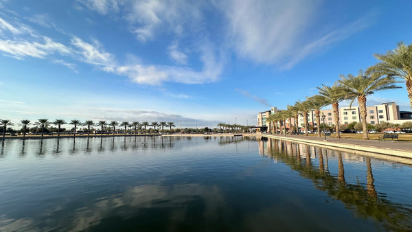 The Southwest Embryology Summit January 7-9, 2027  | West Mesa, AZ