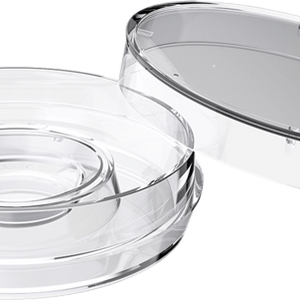 A clear SureGrip Center well dish, shown with lid off, intended for laboratory use.