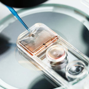 Repro Life America Cryotec Warming Solution for oocytes, embryos and blastocysts