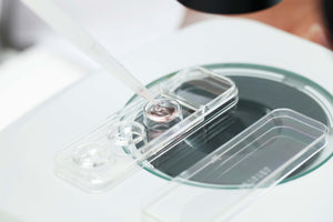 Cryotec Vitri and Warm Plates