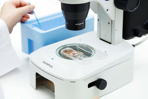 Cryotec Vitri and Warm Plates