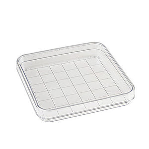 Divided Plate
