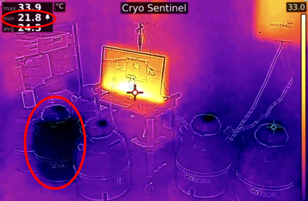 CryoSentinel® - Thermographic Cryogenic Storage Vacuum Failure Monitoring [Quote]