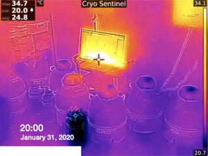 CryoSentinel® - Thermographic Cryogenic Storage Vacuum Failure Monitoring [Quote]