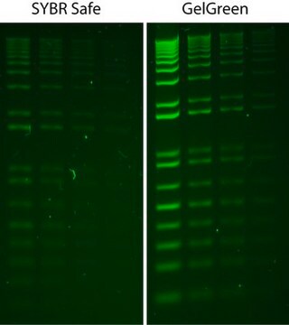 Side by side image of the difference between SYBR Safe and Gel Green Staining gel