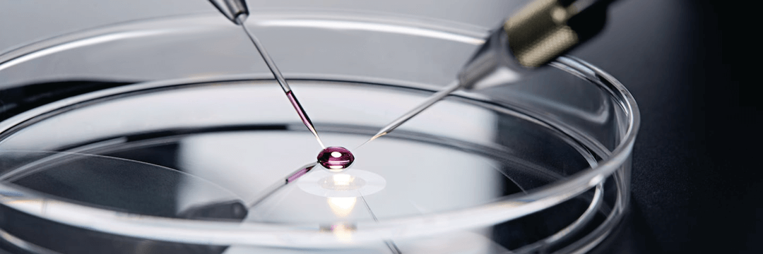 Calibre Scientific Glass Microcapillaries – IVF Store