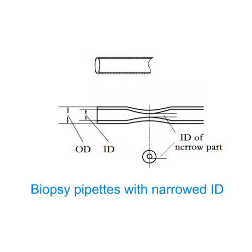 DEWIN BXGuard™ Biopsy Pipettes