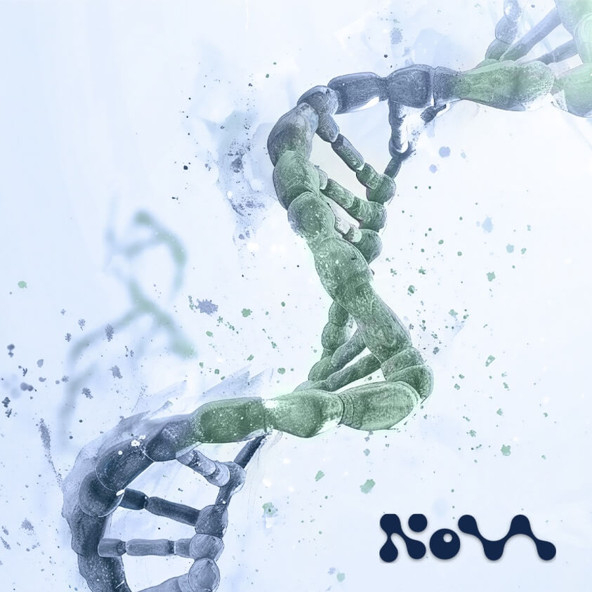 NOVA Genomics Preimplantation Genetic Testing (PGT) Services
