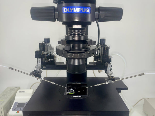 Olympus IX73 Inverted Microscope System [Refurbished]