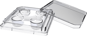 A clear, SureGrip  non-treated 4-well dish with a lid, designed for laboratory use with embryos, gametes, or cells.