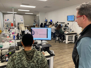 World Embryology Skills And Training