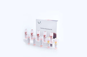 VitaVitro Vitrification & Warming Media