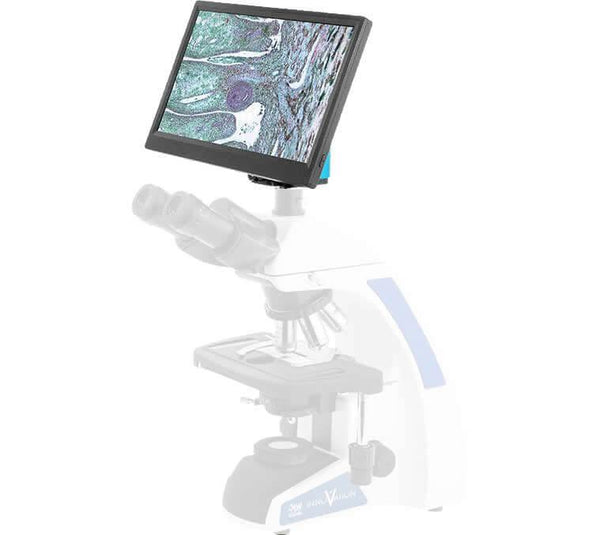 BioVIEW microscope camera and monitor for sperm morphology