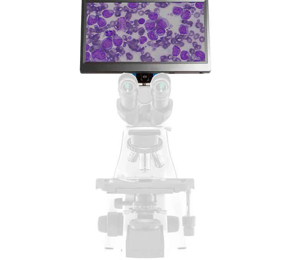 BioVIEW microscope camera and monitor for histology