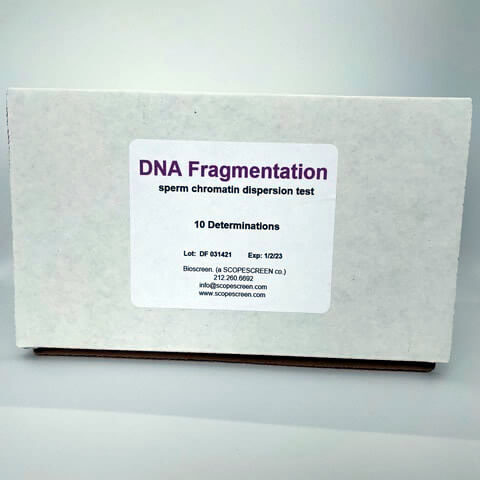 DNA Fragmentation Kit