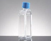 Falcon® Tissue Culture Flasks, Vented 1 clear bottle with blue cap