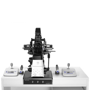 Accurion Anti Vibration ICSI Table for IVF Laboratories