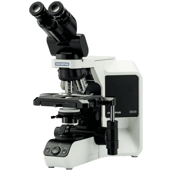 Olympus BX43F Microscope Package for Semen Evaluation