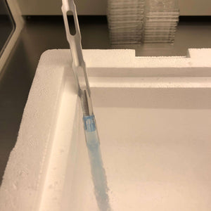 Insulated Foam Shipping Container / Vitrification Box - 8 x 6 x 7, 1-1/2" wall