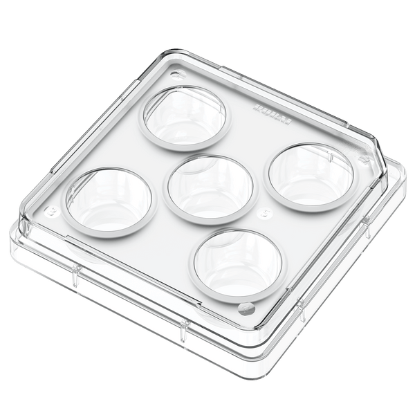 Five-well Culture Plate