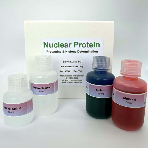 Nuclear Protein Assay Kit