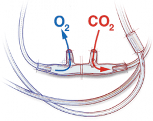 Divided Adult Capnography Cannulas, Male Luer Style, 10' O2 & 10' CO2 - IVF Store